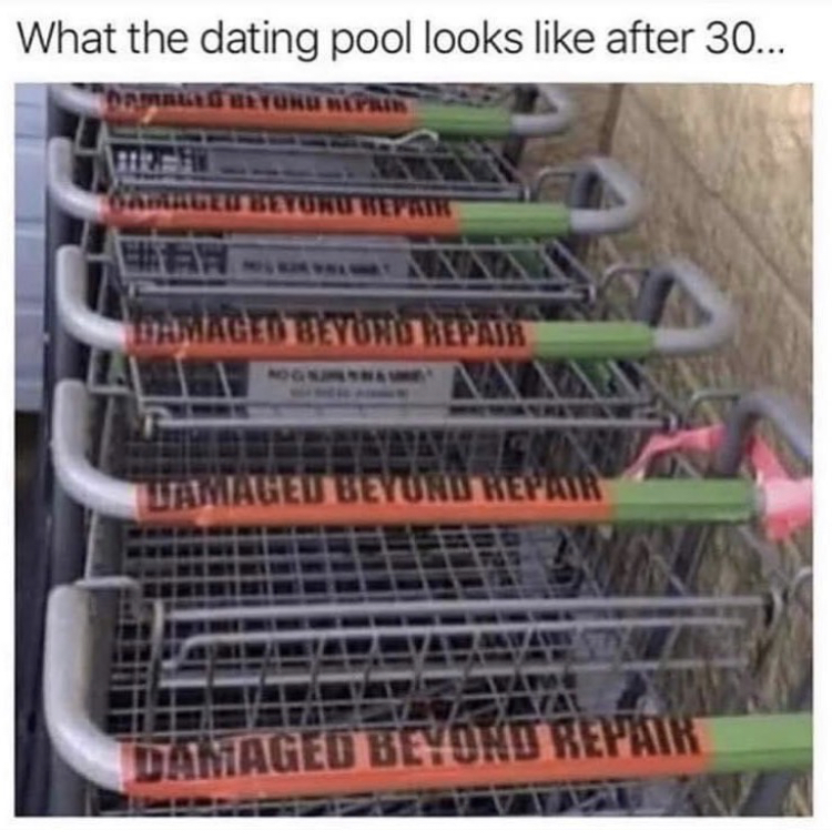 dating after 30 meme - What the dating pool looks after 30... Leo Toku Repair Syurukevate Damage Beyono Repair Lamaged Beyoru Repair Damaged Beyond Repair