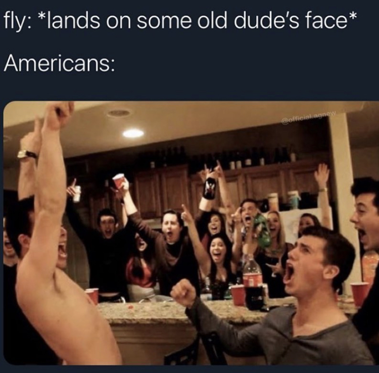 2020 memes - fly lands on some old dude's face Americans