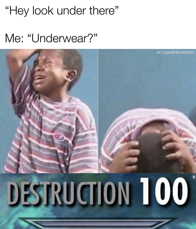 happy brothers day funny wishes - "Hey look under there" Me Underwear?" acceptablememes Destruction 100