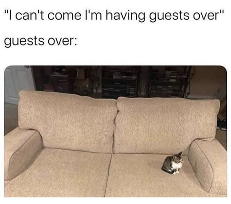 couch - "I can't come I'm having guests over" guests over