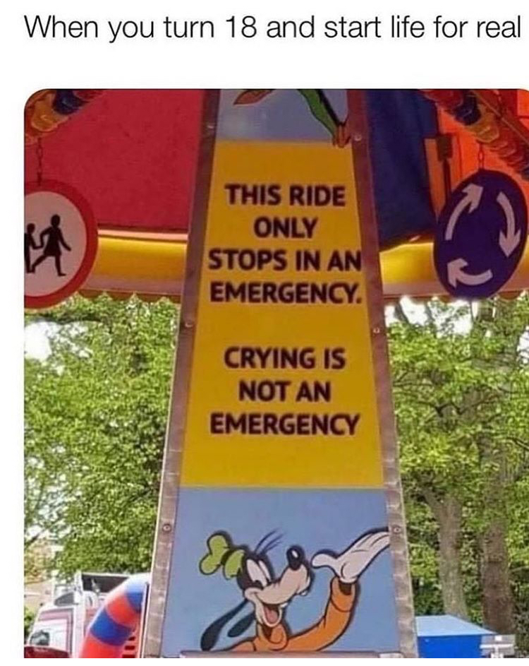 blursed signs - When you turn 18 and start life for real M This Ride Only Stops In An Emergency Crying Is Not An Emergency