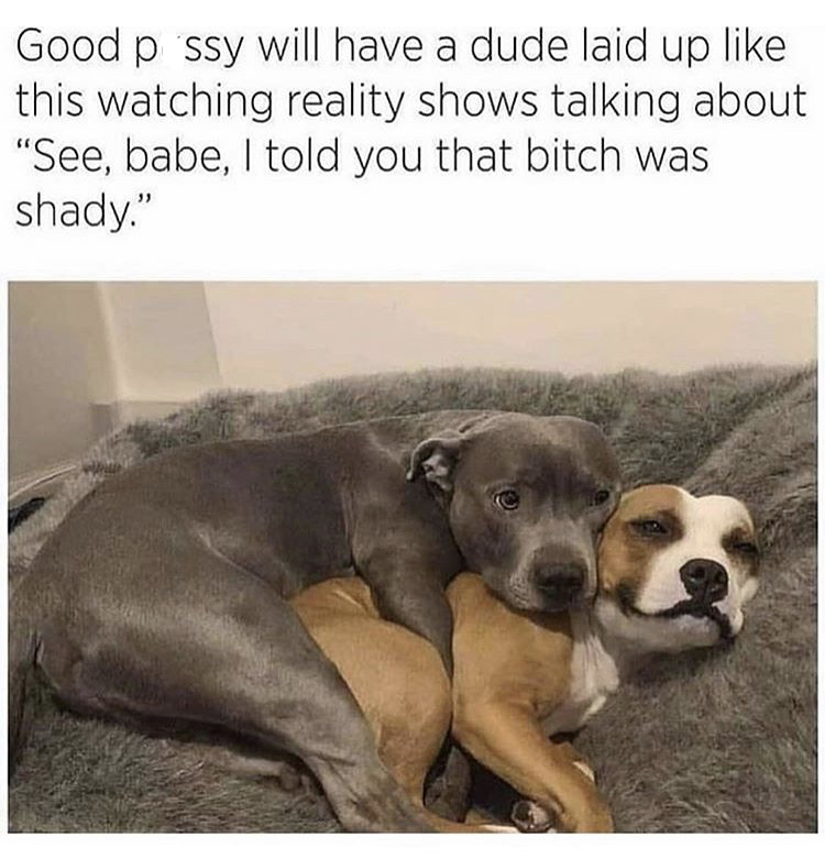 good pussy will have you - Good p ssy will have a dude laid up this watching reality shows talking about "See, babe, I told you that bitch was shady"