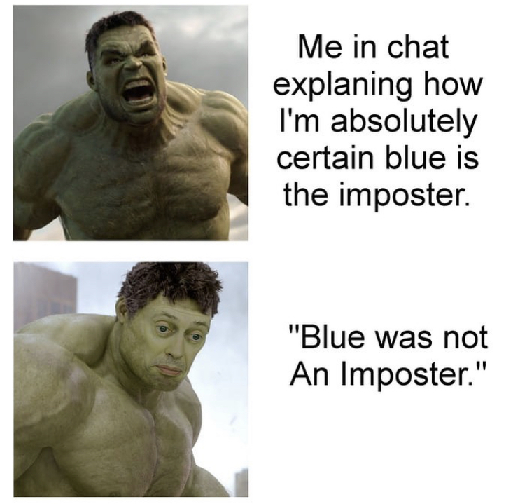 human - Me in chat explaning how I'm absolutely certain blue is the imposter. "Blue was not An Imposter."