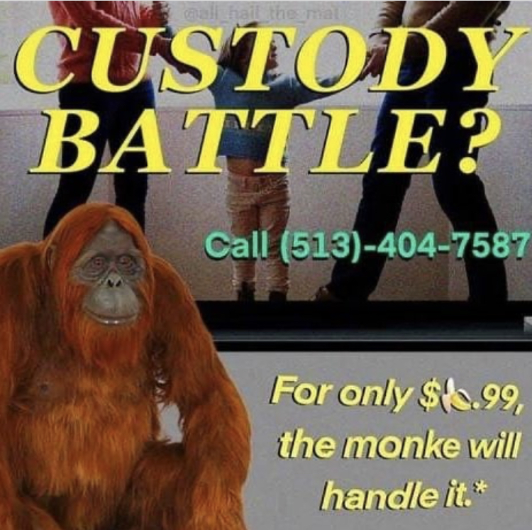 photo caption - Custody Battle? Call 5134047587 For only $6.99, the monke will handle it.