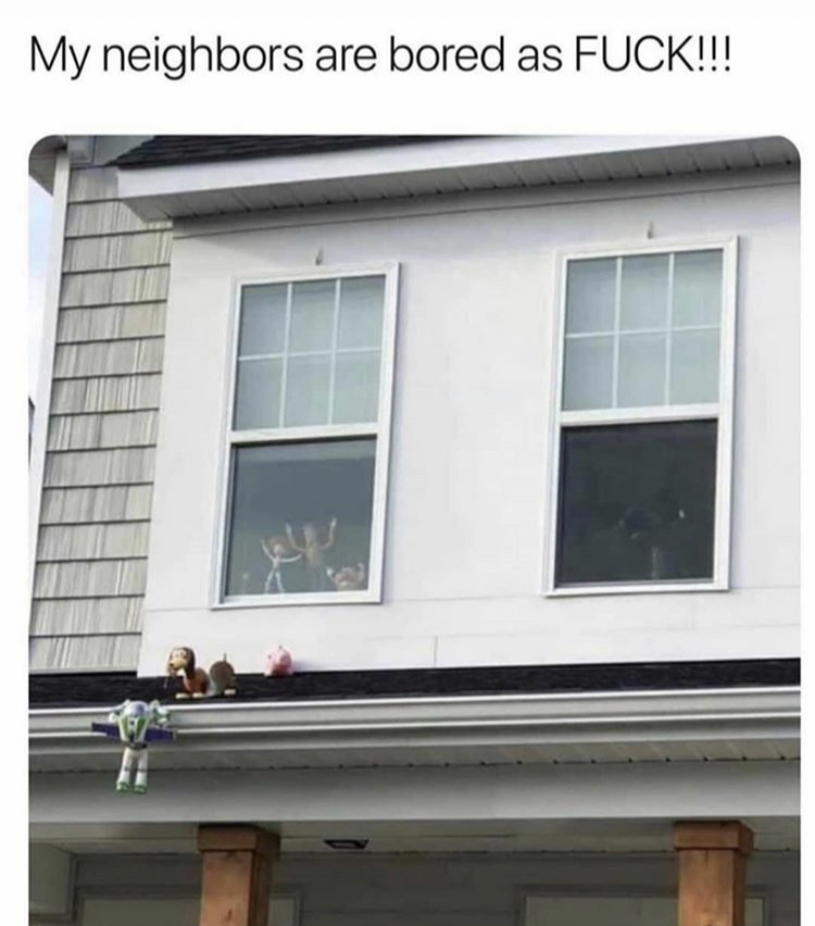 my neighbors are bored as fuck - My neighbors are bored as Fuck!!!