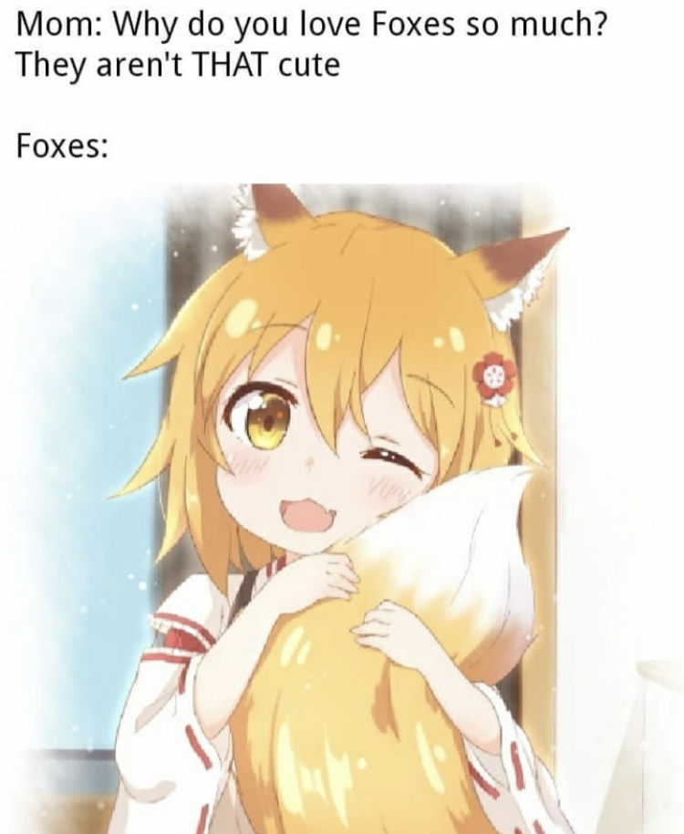 cute senko - Mom Why do you love Foxes so much? They aren't That cute Foxes