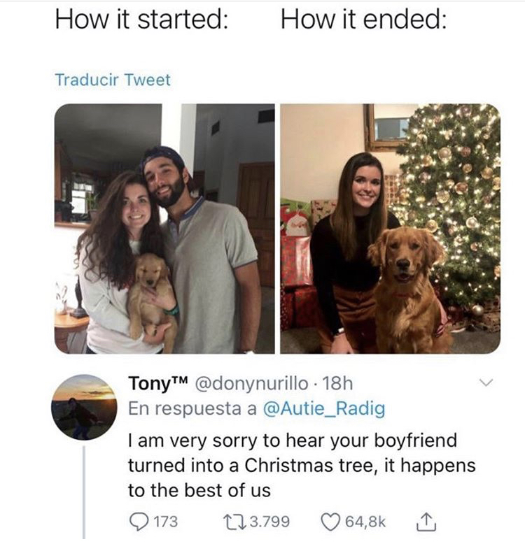 dog - How it started How it ended Traducir Tweet TonyTM 18h En respuesta a I am very sorry to hear your boyfriend turned into a Christmas tree, it happens to the best of us 173 123.799