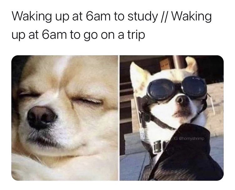 Waking up at 6am to study Waking up at 6am to go on a trip Ig