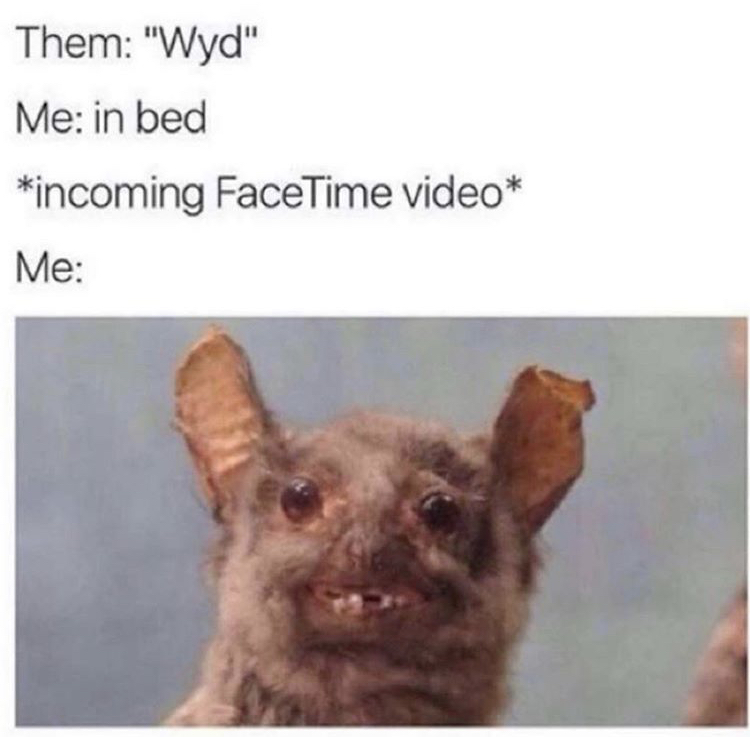 chicken nugger meme - Them "Wyd" Me in bed incoming FaceTime video Me