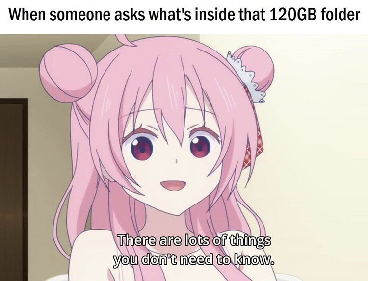 homework folder meme - When someone asks what's inside that 120GB folder There are lots of things you don't need to know.