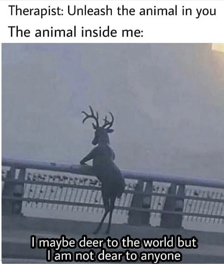 funny memes - reindeer - Therapist Unleash the animal in you The animal inside me I maybe deer to the world but I am not dear to anyone