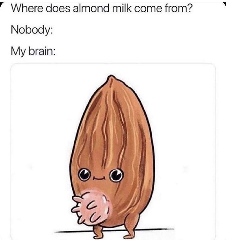 funny memes - almond milk meme - Where does almond milk come from? Nobody My brain