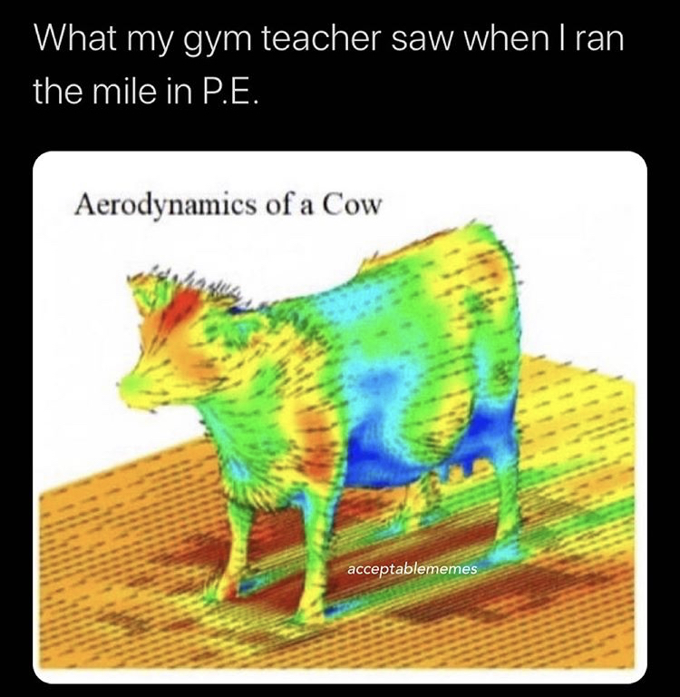 funny memes - aerodynamics of a cow - What my gym teacher saw when I ran the mile in P.E. Aerodynamics of a Cow acceptablememes