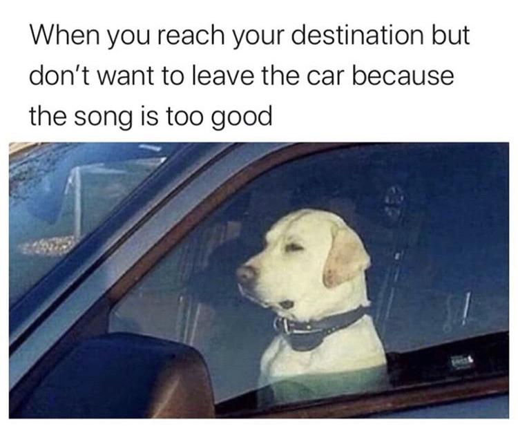 funny memes - When you reach your destination but don't want to leave the car because the song is too good
