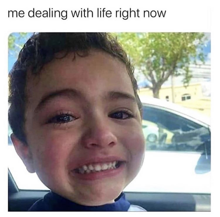 funny memes - me dealing with life right now - me dealing with life right now