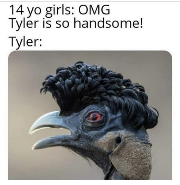 tyler is so handsome meme - 14 yo girls Omg Tyler is so handsome! Tyler