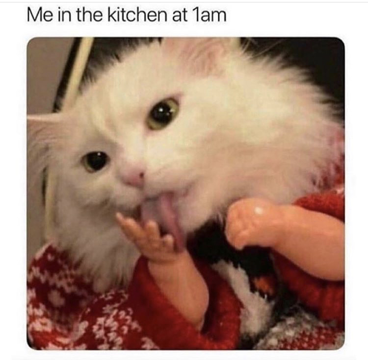 whiskers - Me in the kitchen at 1am