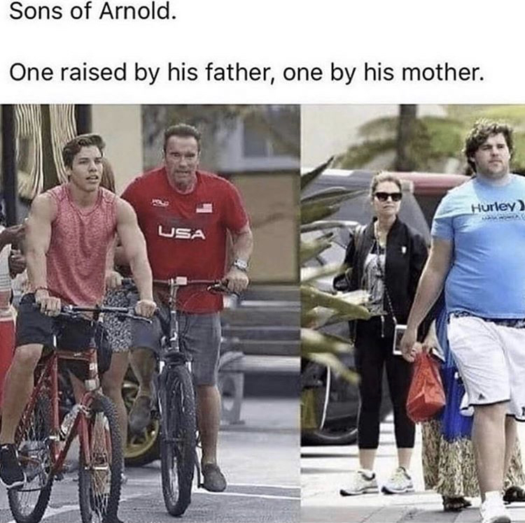 sons of arnold one raised by his father one by his mother - Sons of Arnold. One raised by his father, one by his mother. Hurley Usa