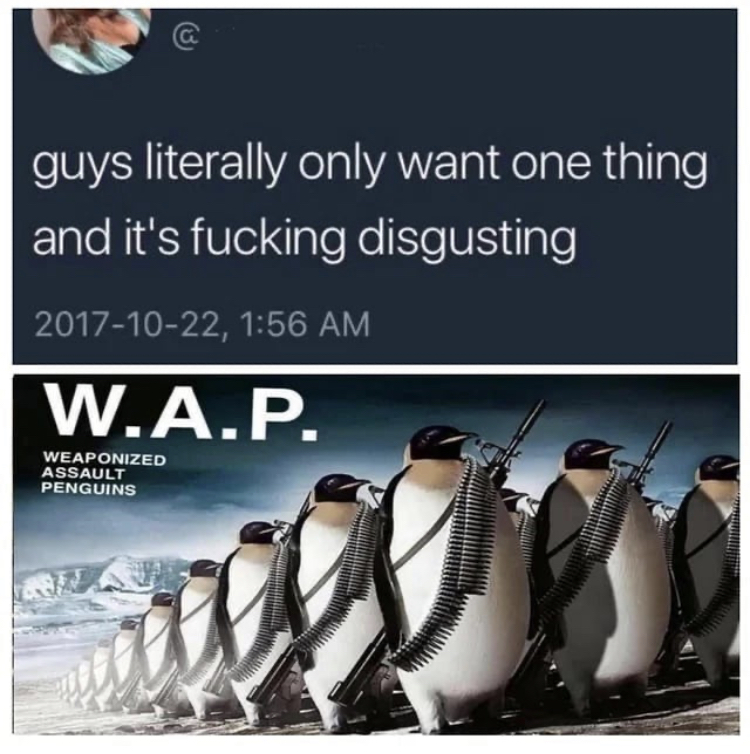 social awareness advertisement - guys literally only want one thing and it's fucking disgusting , W.A.P. Weaponized Assault Penguins