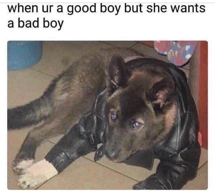 you re a good boy but she wants a bad boy - when ur a good boy but she wants a bad boy
