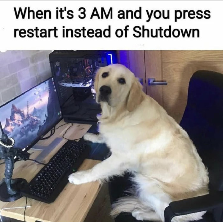 funny dog gaming - When it's 3 Am and you press restart instead of Shutdown