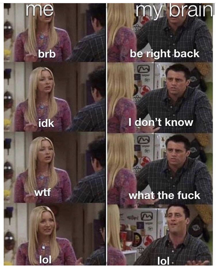 phoebe joey memes - me my brain brb be right back idk I don't know wtf what the fuck lol lol.