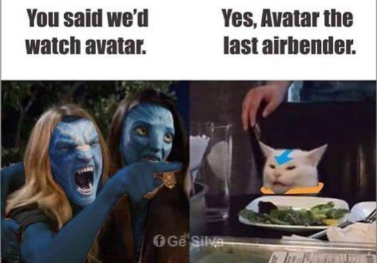 avatar the last airbender memes - You said we'd watch avatar. Yes, Avatar the last airbender. G Sikte