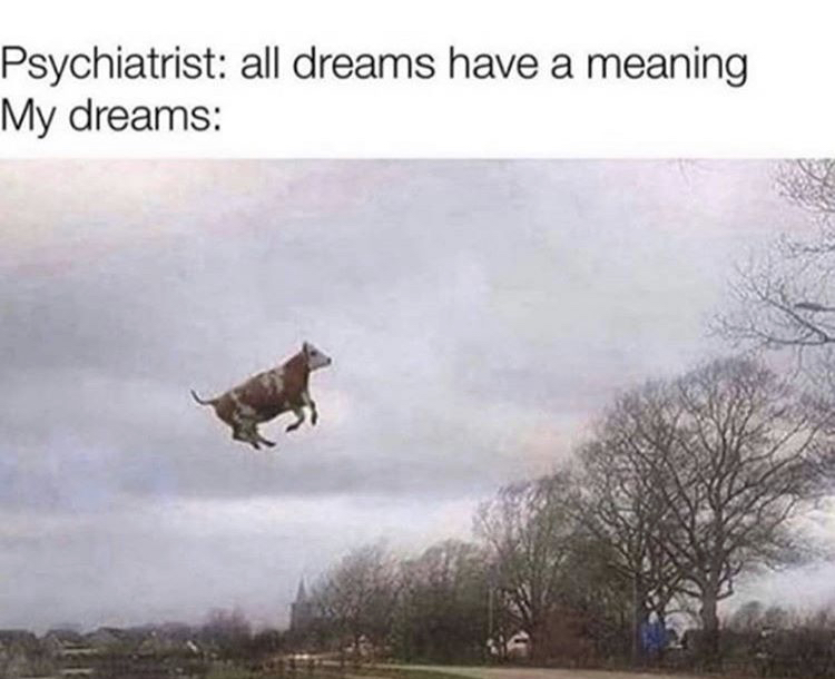 Psychiatrist all dreams have a meaning My dreams
