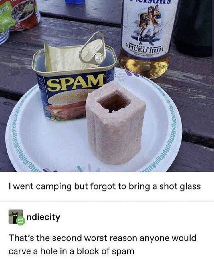 spam glass - Spiced Rum d Spam I went camping but forgot to bring a shot glass ndiecity That's the second worst reason anyone would carve a hole in a block of spam