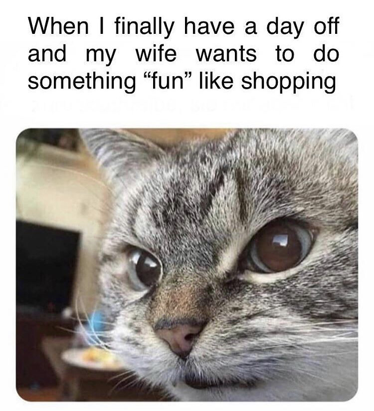 smol mad cat - When I finally have a day off and my wife wants to do something fun shopping
