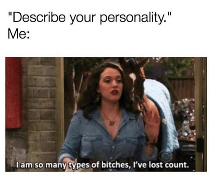 savage broken girls quotes - "Describe your personality." Me I am so many types of bitches, I've lost count.
