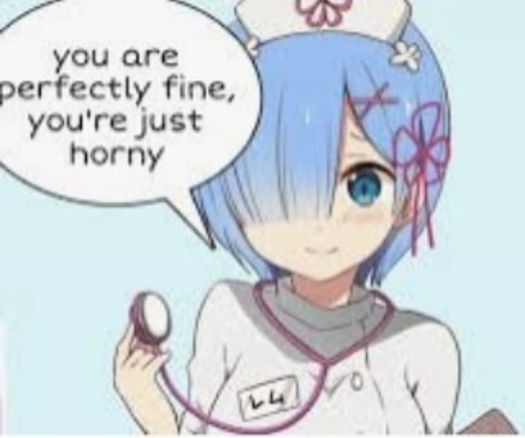 Re:Zero − Starting Life in Another World - you are perfectly fine, you're just horny 4 To