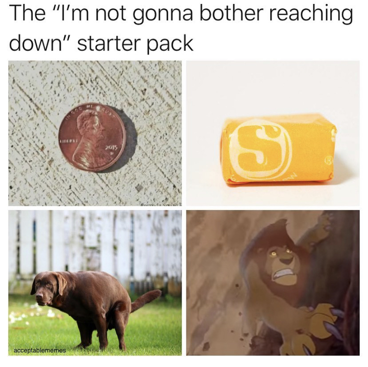 fauna - The "I'm not gonna bother reaching down" starter pack S acceptablememes