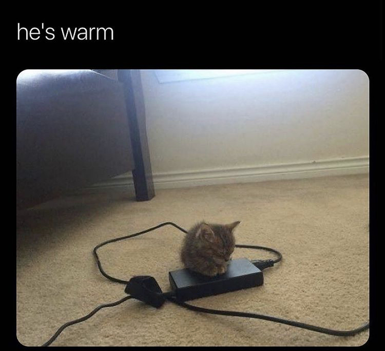 1408 - he's warm