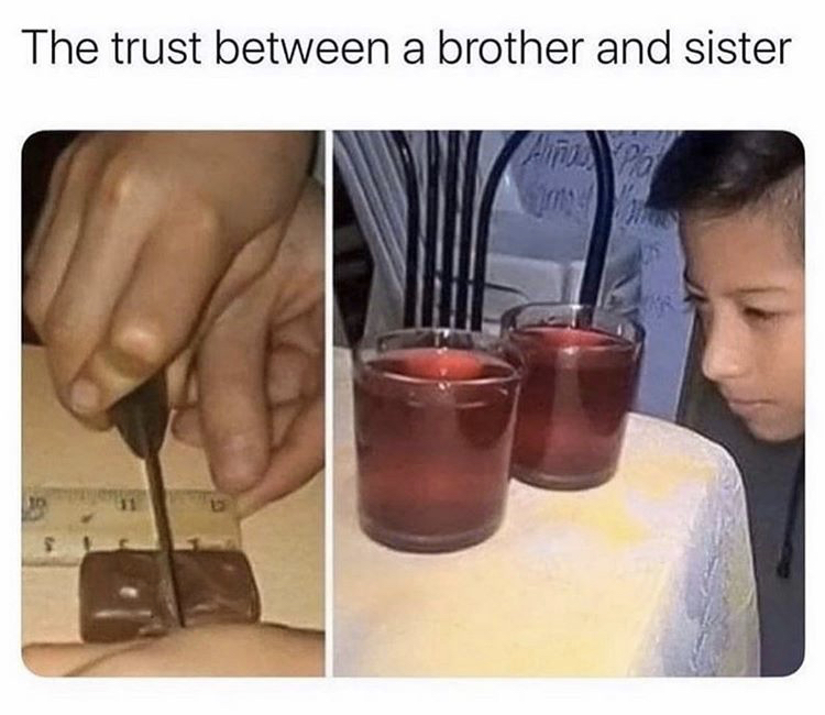 can relate meme - The trust between a brother and sister