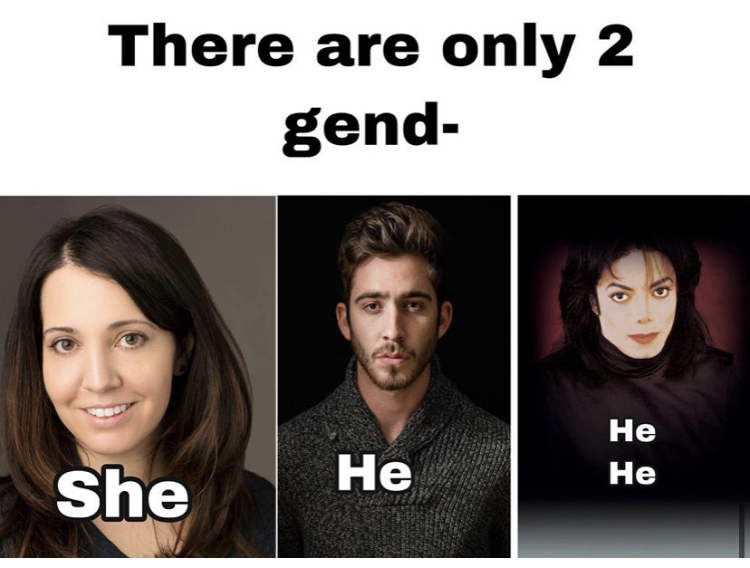 head - There are only 2 gend He He He She