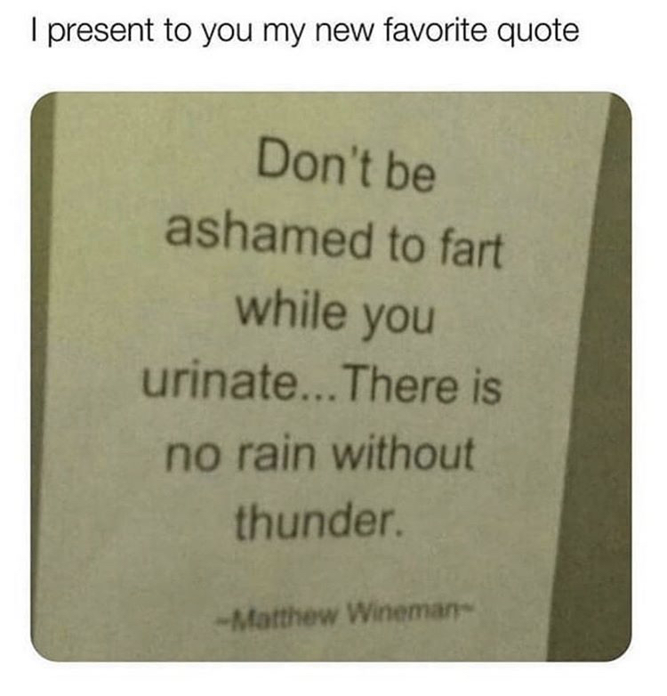 memes from twitter - I present to you my new favorite quote Don't be ashamed to fart while you urinate... There is no rain without thunder Matthew Wineman