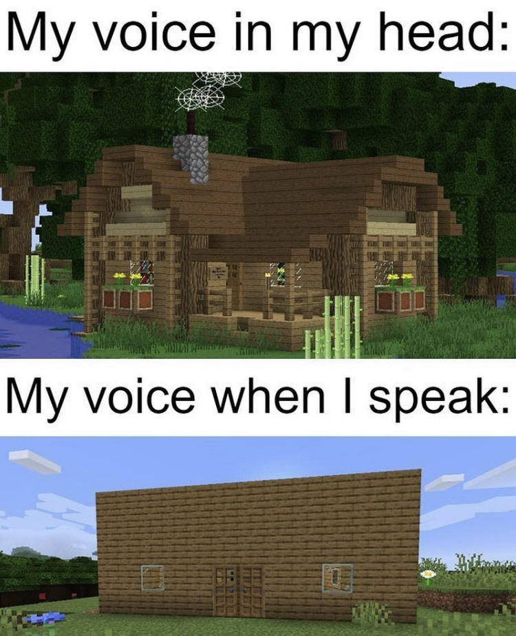 house - My voice in my head Dins My voice when I speak