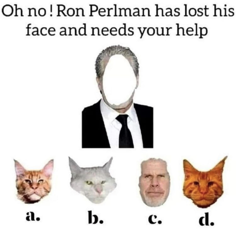 ron perlman cats - Oh no! Ron Perlman has lost his face and needs your help a. b. c. d.