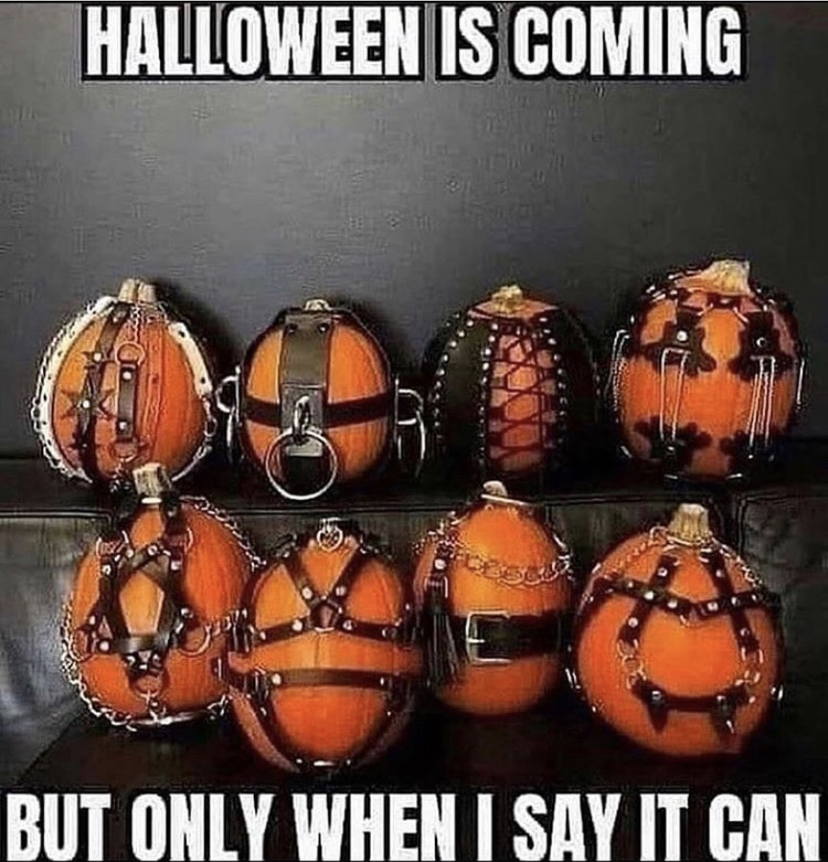 halloween is coming meme - Halloween Is Coming But Only When I Say It Can