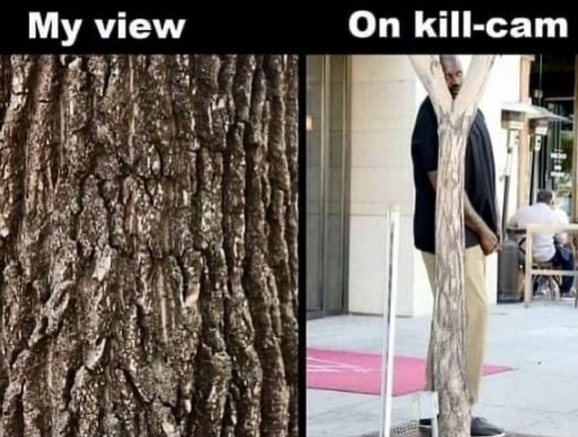 shaq meme tree - My view On killcam