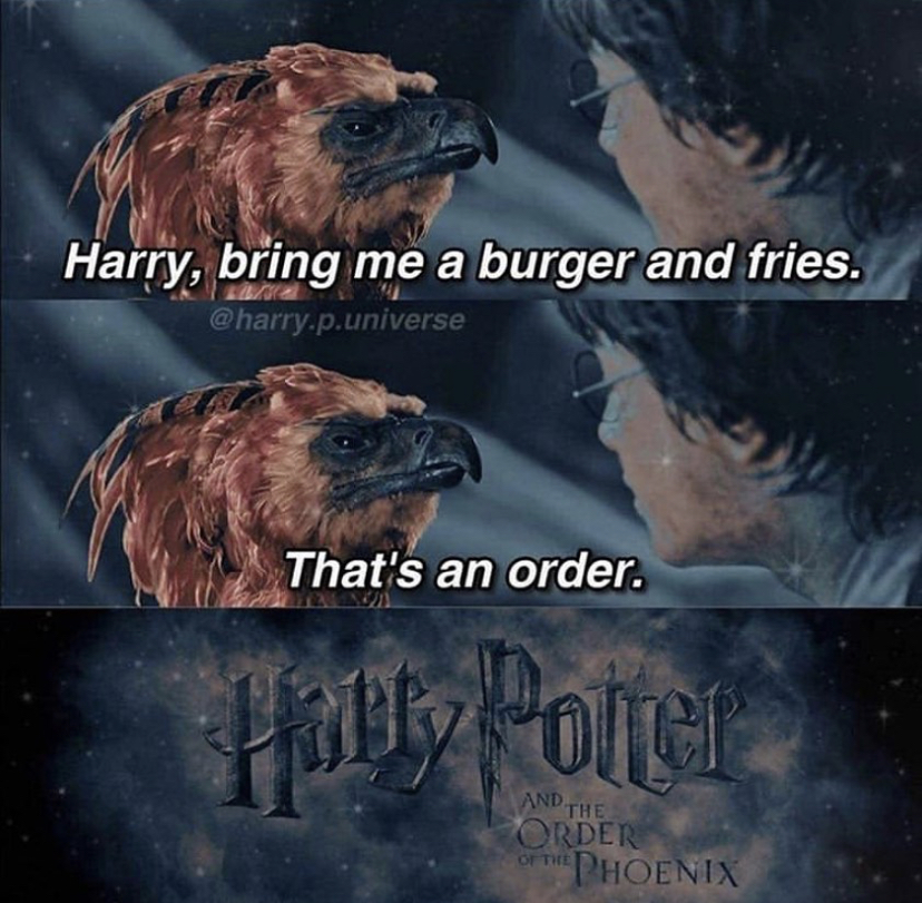 photo caption - Harry, bring me a burger and fries. .p.universe That's an order. Hally Pollen And The Order Phoenix Oth