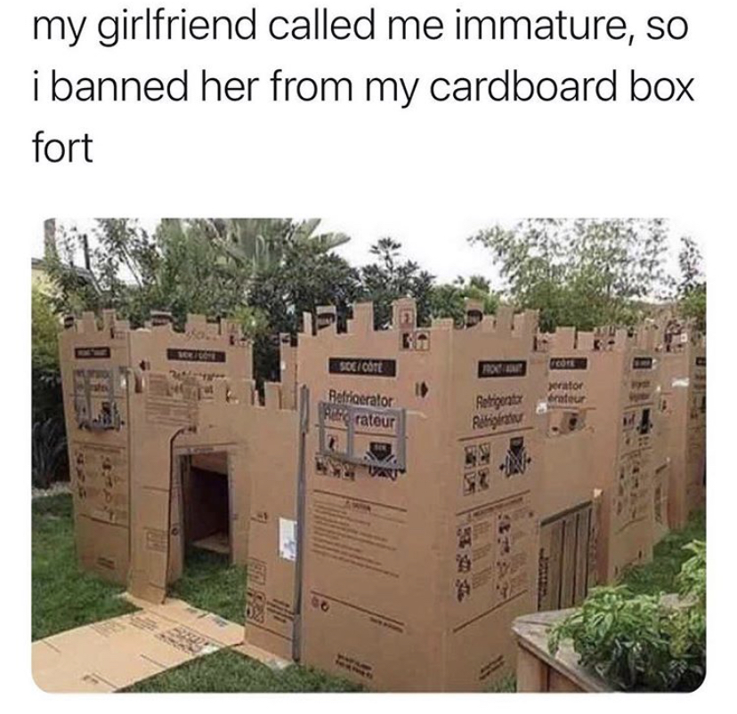 my girlfriend called me immature meme - my girlfriend called me immature, so i banned her from my cardboard box fort Sdcore erateur Berator rateur Reporter Riti