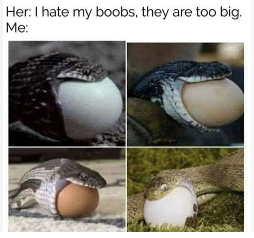 her i hate my boobs they are too big - Her I hate my boobs, they are too big, Me