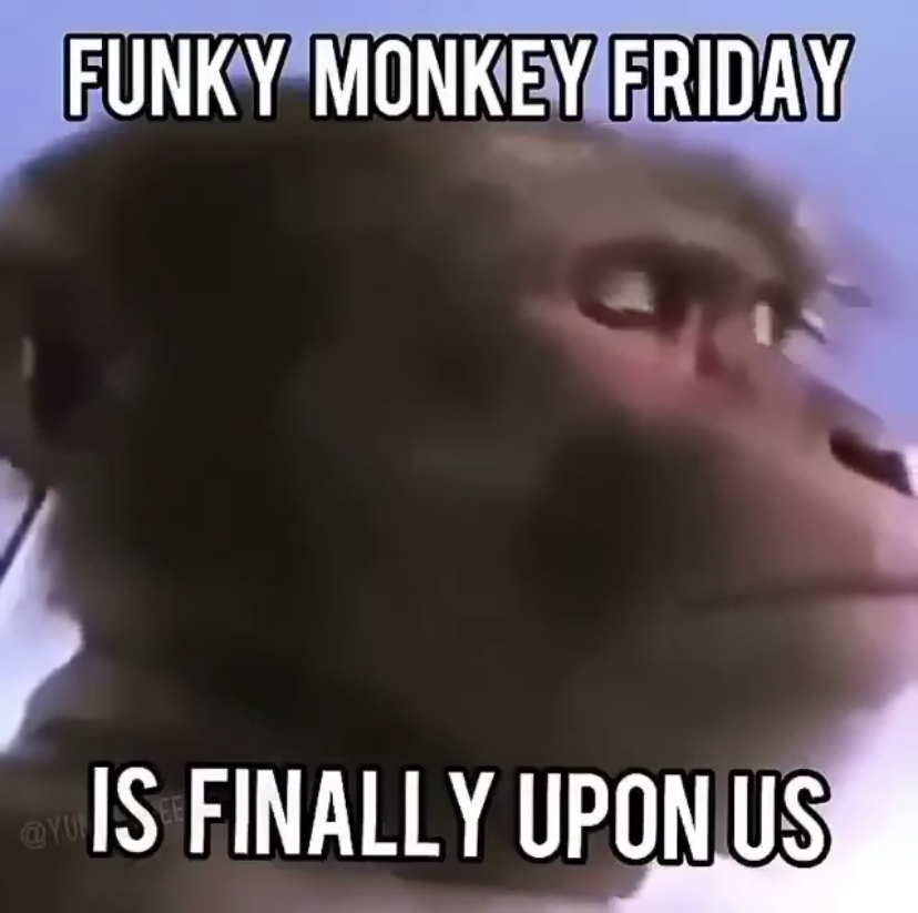 funky monkey friday - Funky Monkey Friday Is Finally Upon Us