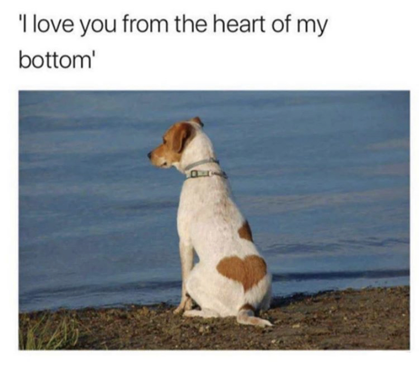 bottom of the heart memes - 'I love you from the heart of my bottom