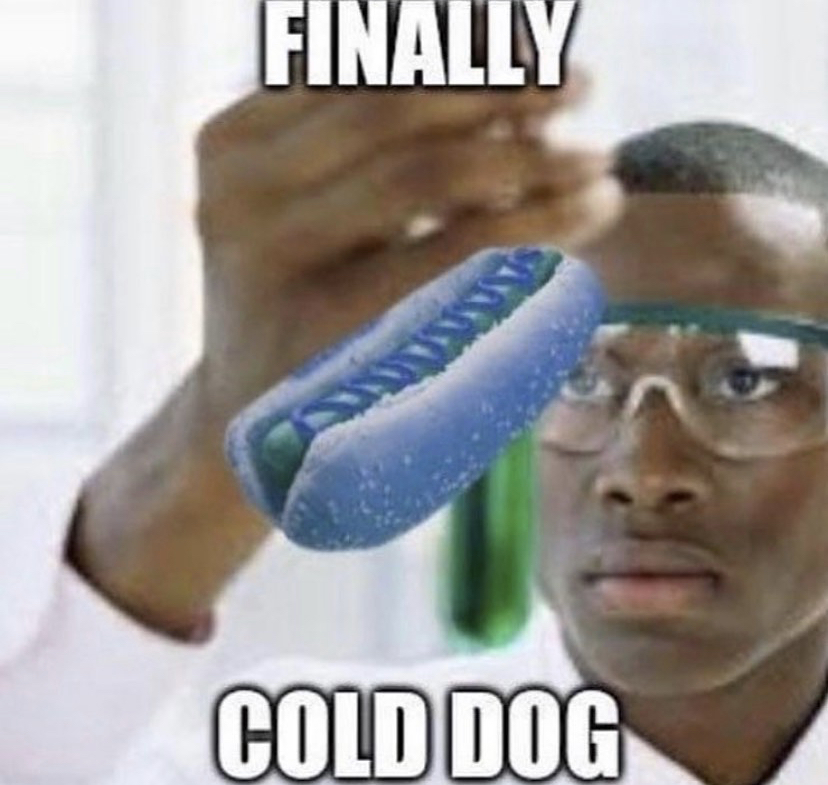 dr salt - Finally Cold Dog