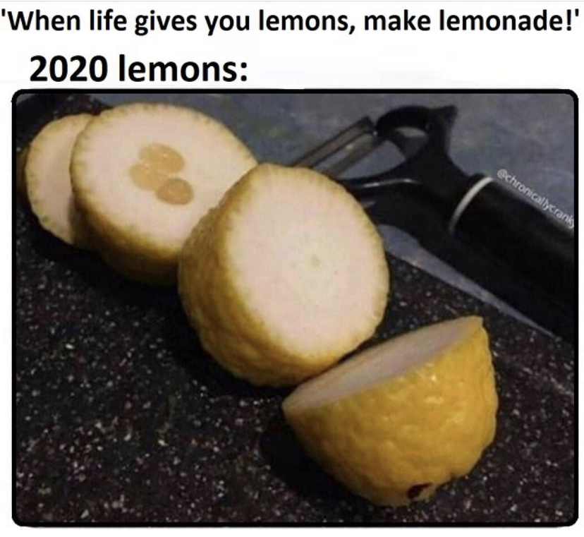 quarantine funny memes - 'When life gives you lemons, make lemonade!' 2020 lemons chronicallycra