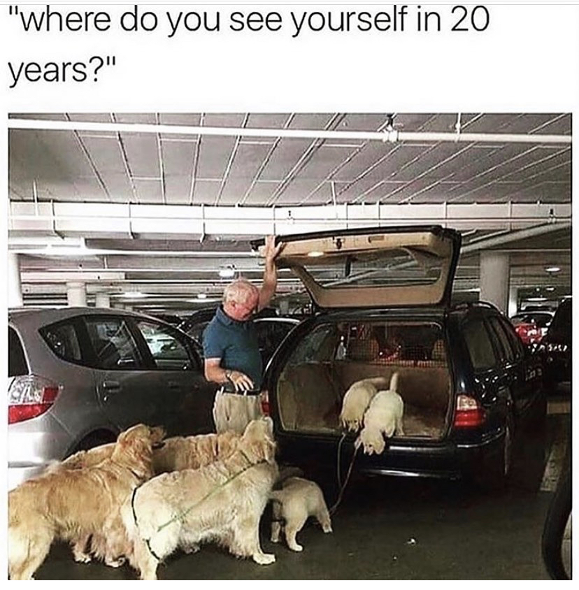 me in 20 years meme - "where do you see yourself in 20 years?"