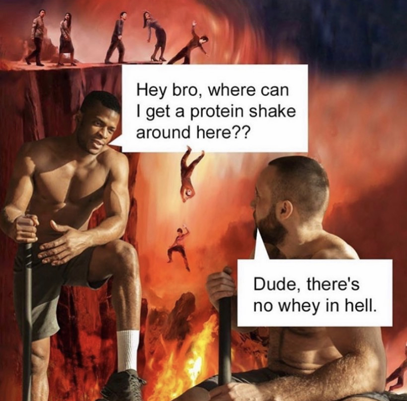 human - Hey bro, where can I get a protein shake around here?? Dude, there's no whey in hell.